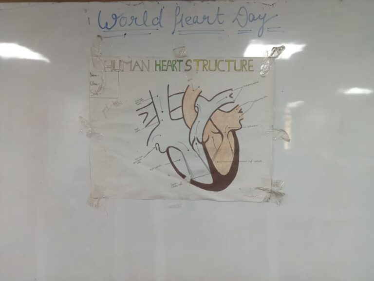 world heart day1